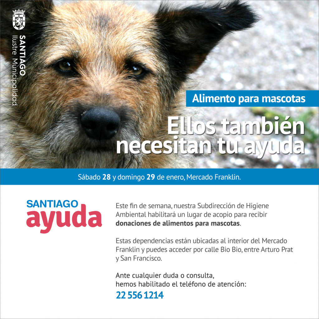 mascotas_solidariaFB